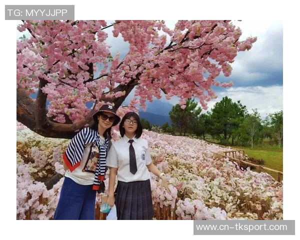 探索布莱克尼的魅力与历史:一段关于文化与自然的奇妙旅程