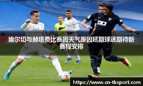 TK体育官网