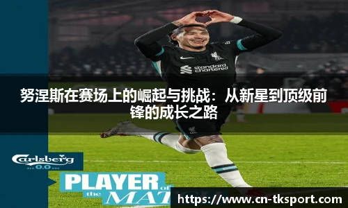 TK体育
