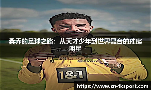 TK体育直播平台
